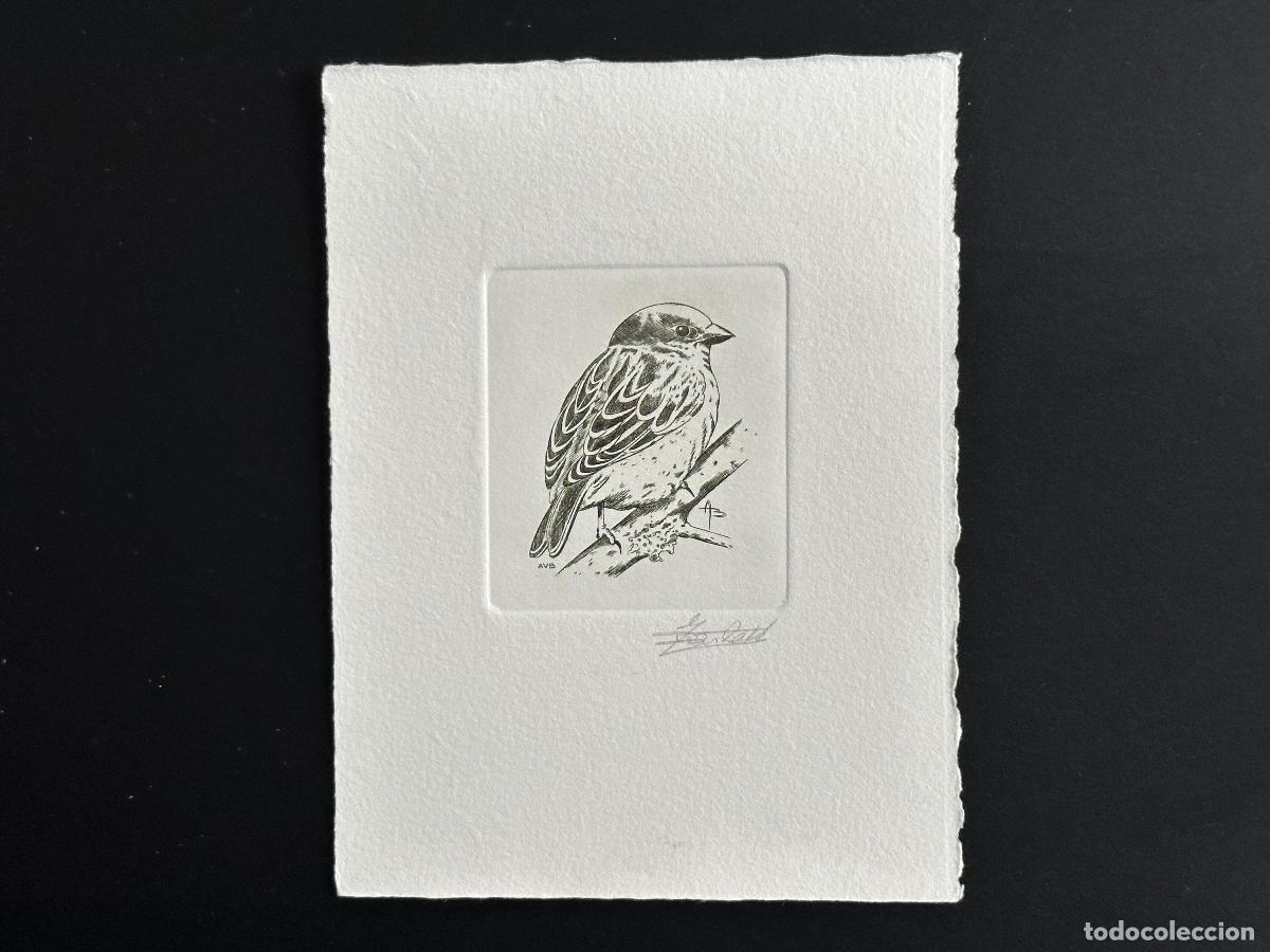 Sellos: B&eacute;lgica 1994 COB 2533 A prueba de artista FDC Bird Andr&eacute; Buzin House Sparrow