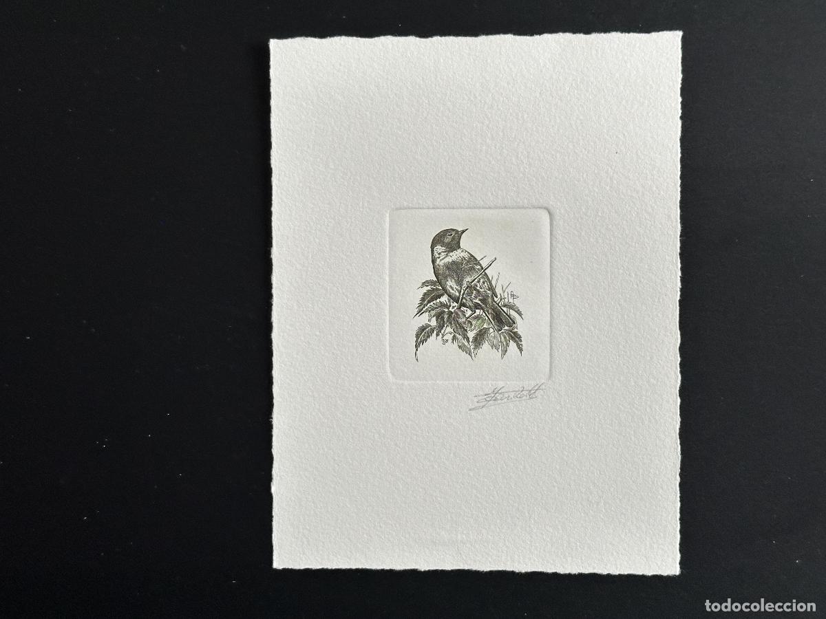 Sellos: B&eacute;lgica 1990 COB 2397 Prueba de artista FDC Bird Andr&eacute; Buzin Green Wheatear
