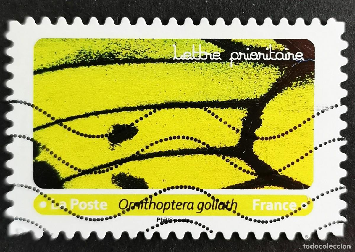 Sellos: Sello Francia 2020, Alas mariposa: Ornithoptera goliath, Sin Valor Facial Michel: FR 7508