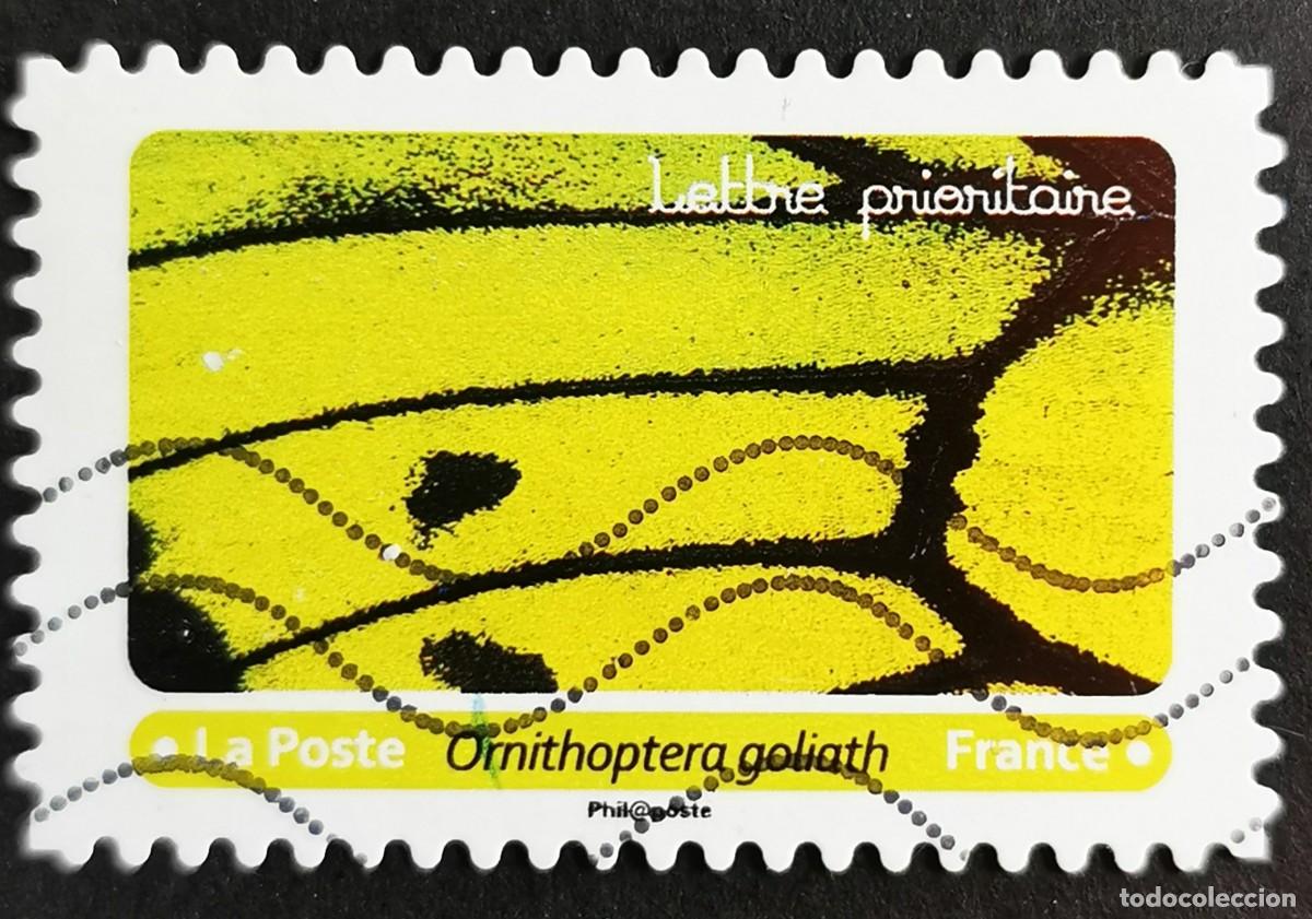 Sellos: Sello Francia 2020, Alas mariposa: Ornithoptera goliath, Sin Valor Facial Michel: FR 7508