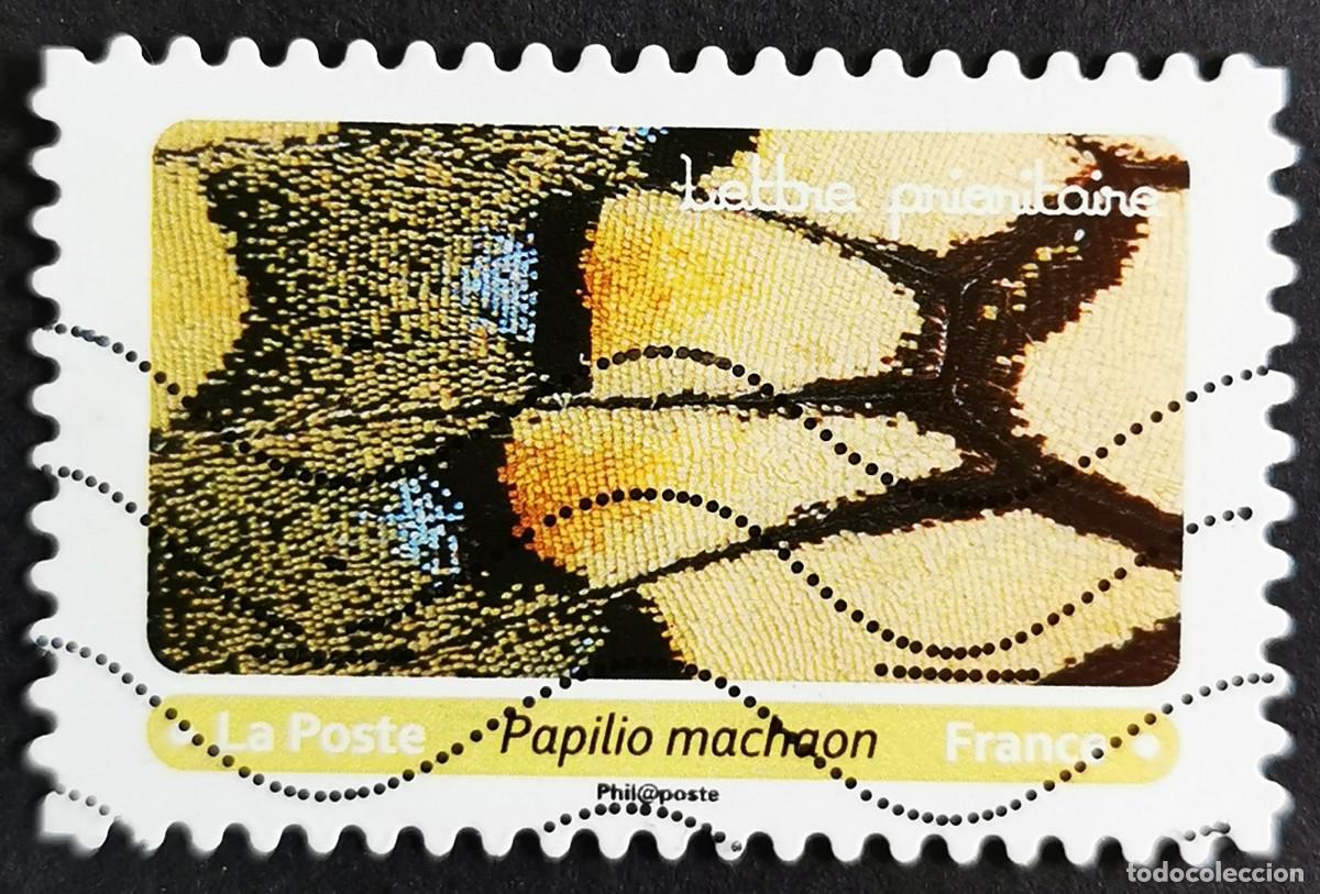 Sellos: Sello Francia 2020, Alas mariposa: Papilio machaon, Sin Valor Facial Michel: FR 7517