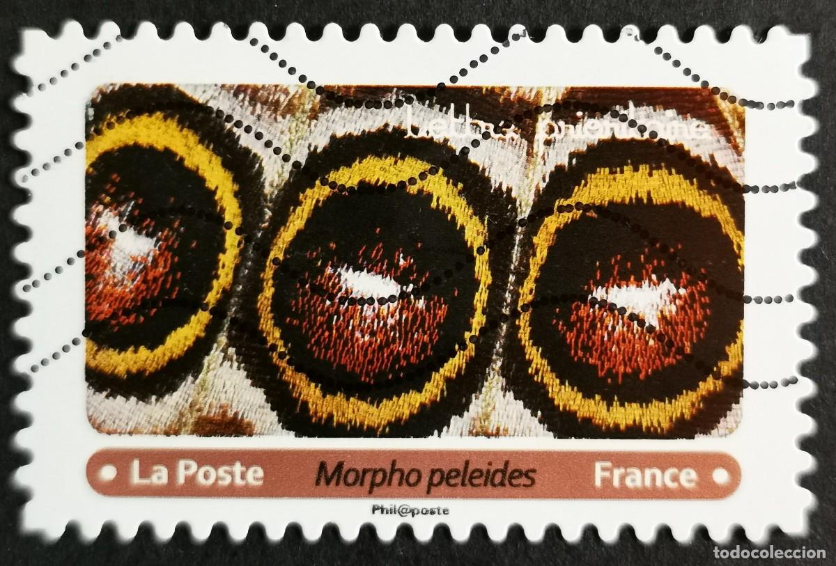 Sellos: Sello Francia 2020, Alas mariposa: Morpho azul (Morpho peleides), Sin Valor Facial Michel: FR 7519