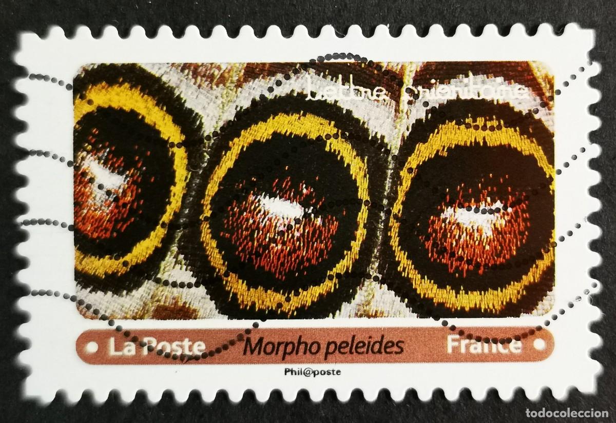 Sellos: Sello Francia 2020, Alas mariposa: Morpho azul (Morpho peleides), Sin Valor Facial Michel: FR 7519