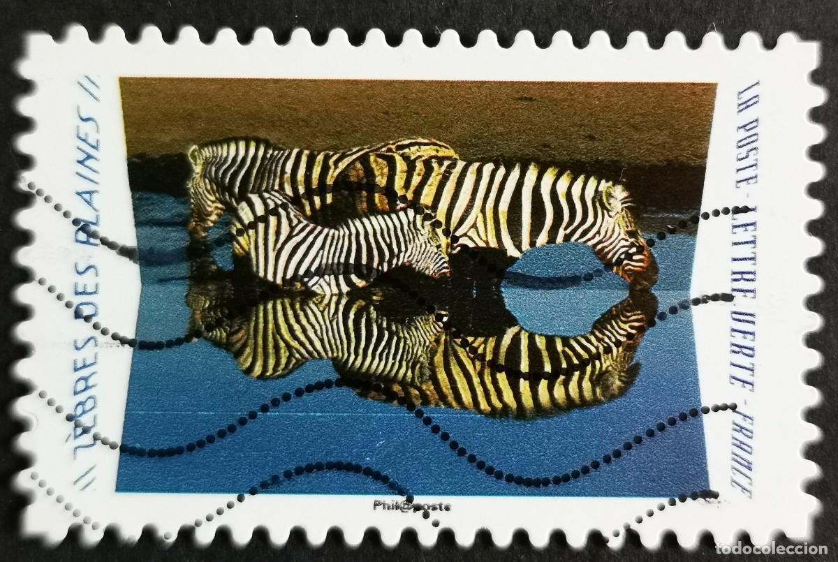 Sellos: Sello Francia 2020, Animales reflejos: Cebra de Burchell (Equus, Sin Valor Facial Michel: FR 7529