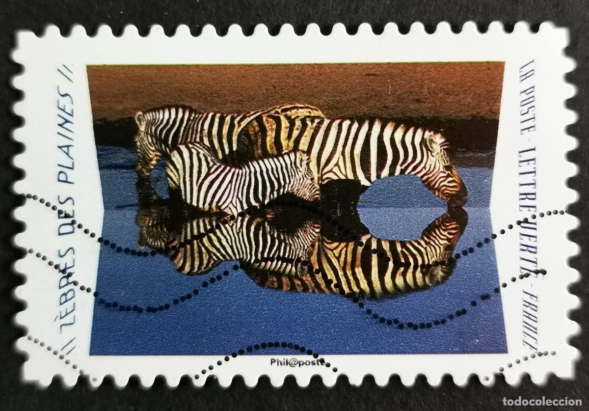 Sellos: Sello Francia 2020, Animales reflejos: Cebra de Burchell (Equus, Sin Valor Facial Michel: FR 7529