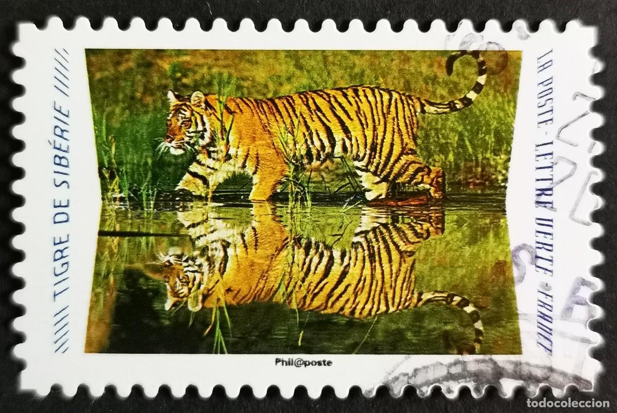 Sellos: Sello Francia 2020, Animales reflejos: Tigre siberiano (Panthera , Sin Valor Facial Michel: FR 7530