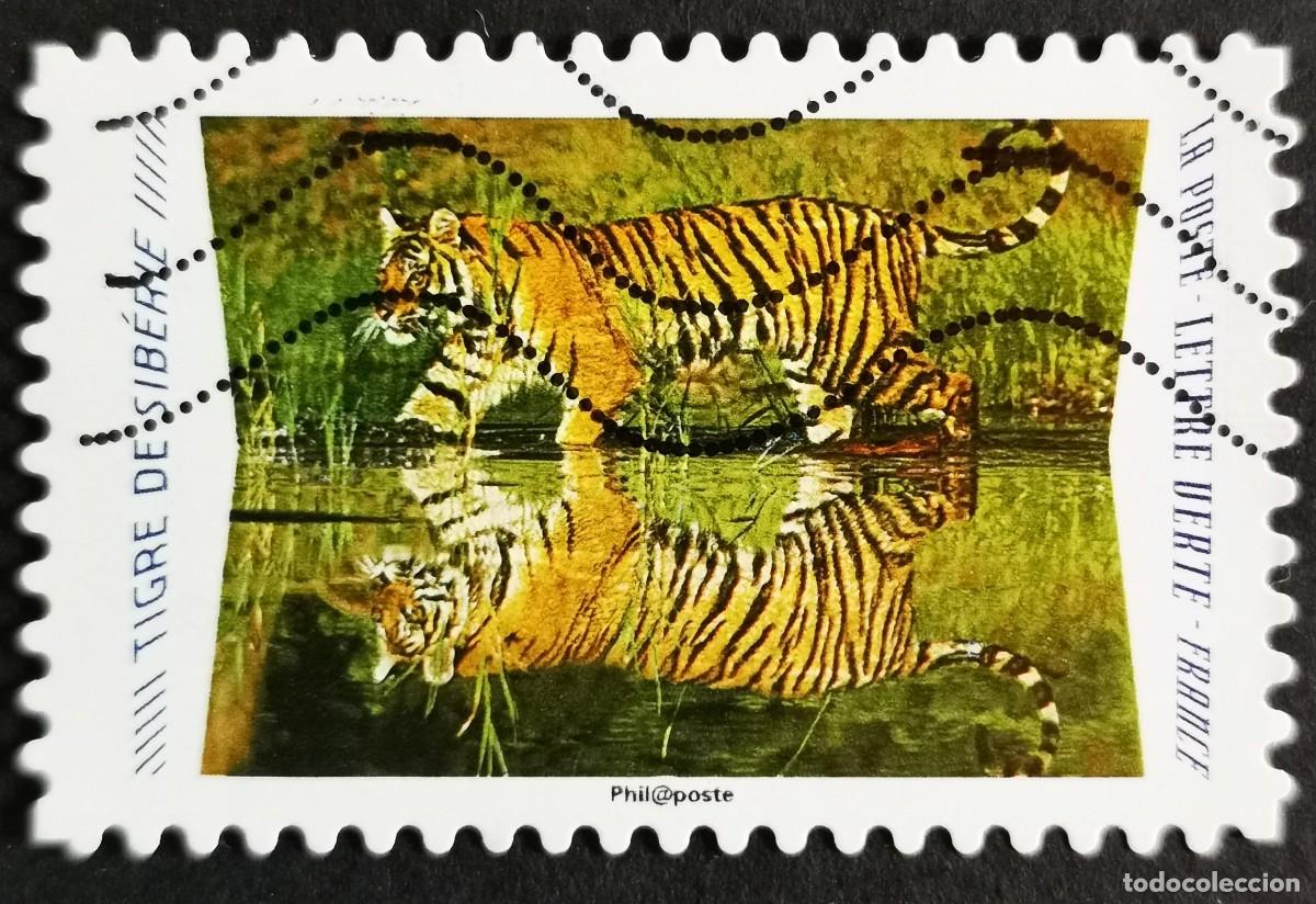 Sellos: Sello Francia 2020, Animales reflejos: Tigre siberiano (Panthera , Sin Valor Facial Michel: FR 7530