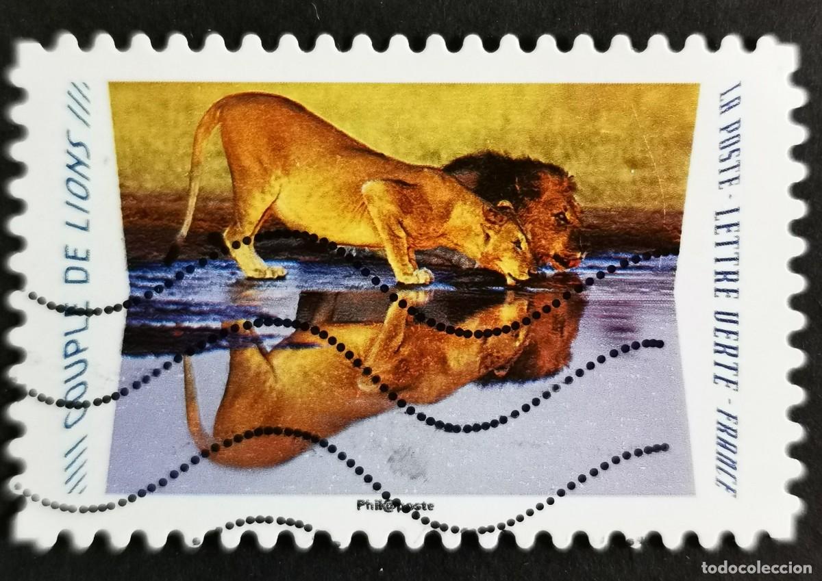 Sellos: Sello Francia 2020, Animales reflejos: Le&oacute;n (Panthera leo) , Sin Valor Facial Michel: FR 7531