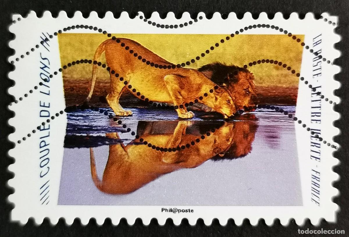 Sellos: Sello Francia 2020, Animales reflejos: Le&oacute;n (Panthera leo) , Sin Valor Facial Michel: FR 7531