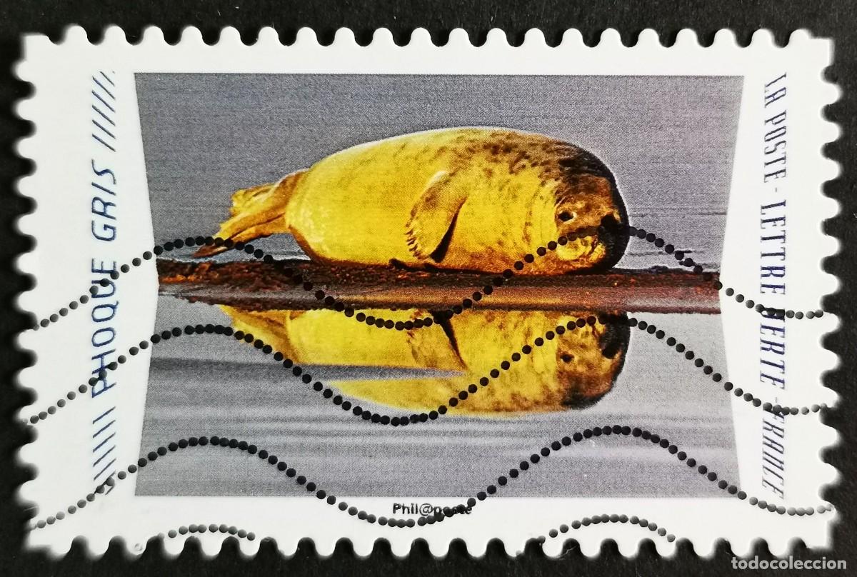 Sellos: Sello Francia 2020, Animales reflejos: Foca gris (Halichoerus gr, Sin Valor Facial Michel: FR 7532
