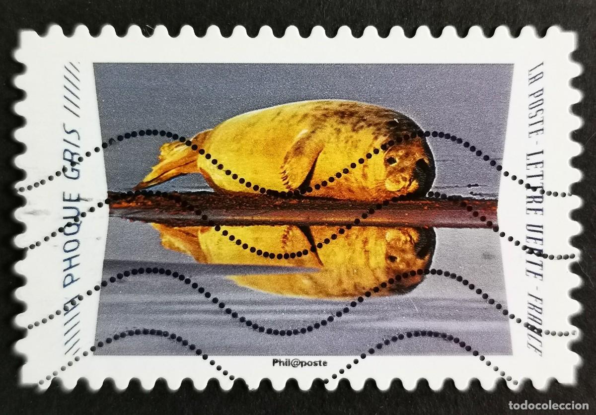 Sellos: Sello Francia 2020, Animales reflejos: Foca gris (Halichoerus gr, Sin Valor Facial Michel: FR 7532