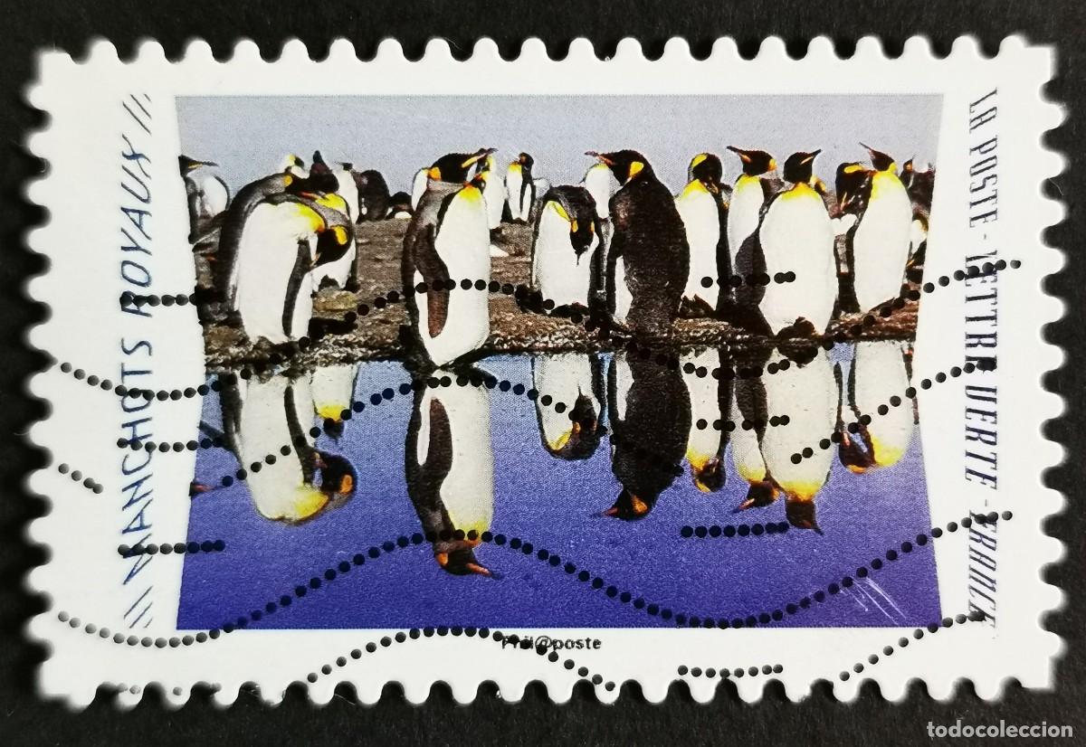 Sellos: Sello Francia 2020, Animales reflejos: Ping&uuml;ino rey (Aptenodytes p, Sin Valor Facial Michel: FR 7534