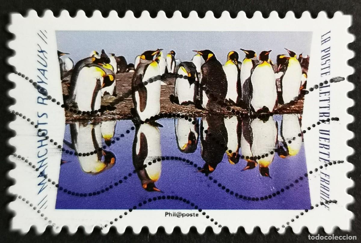 Sellos: Sello Francia 2020, Animales reflejos: Ping&uuml;ino rey (Aptenodytes p, Sin Valor Facial Michel: FR 7534