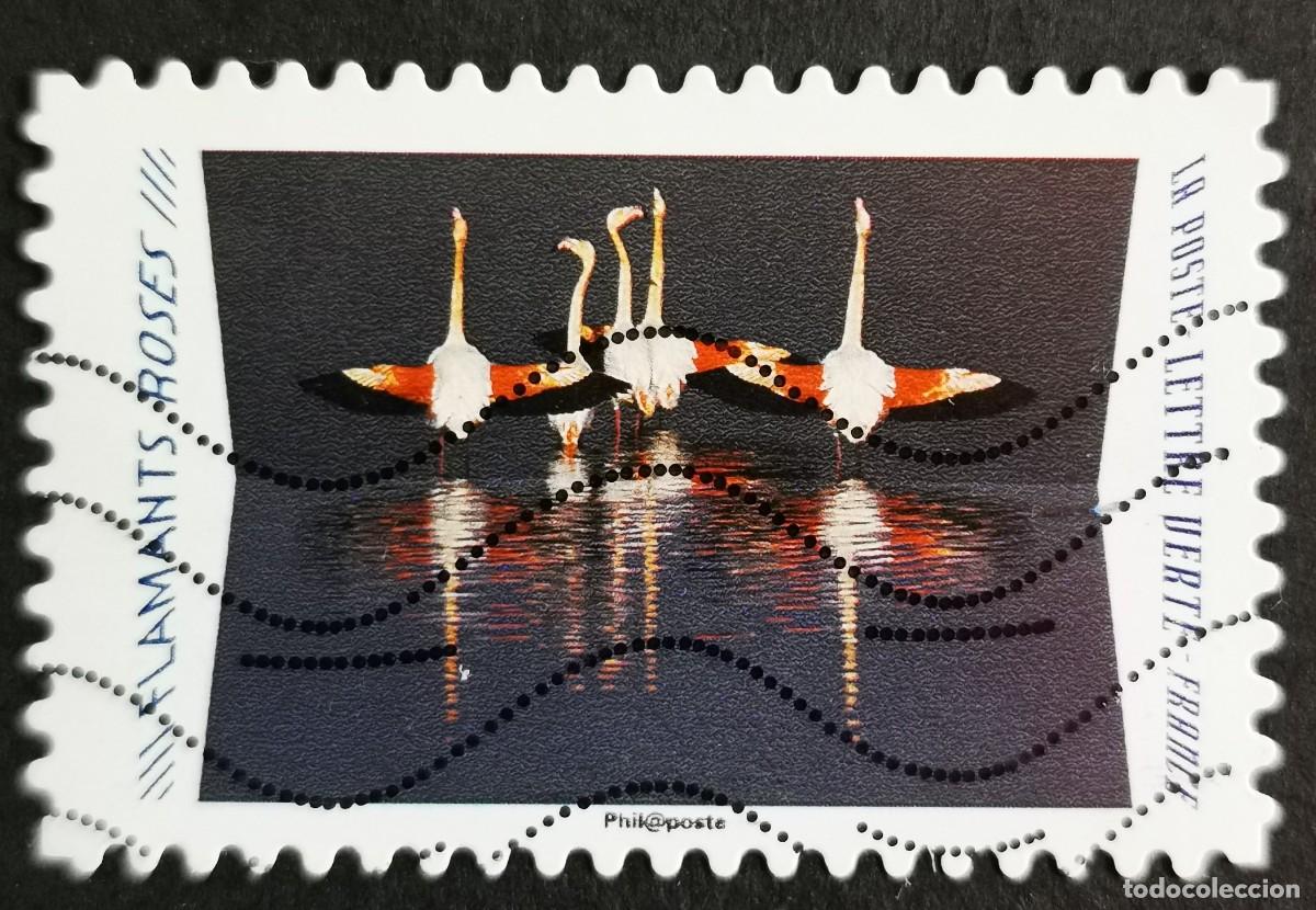 Sellos: Sello Francia 2020, Animales reflejos: Flamenco com&uacute;n (Phoenicopt, Sin Valor Facial Michel: FR 7535
