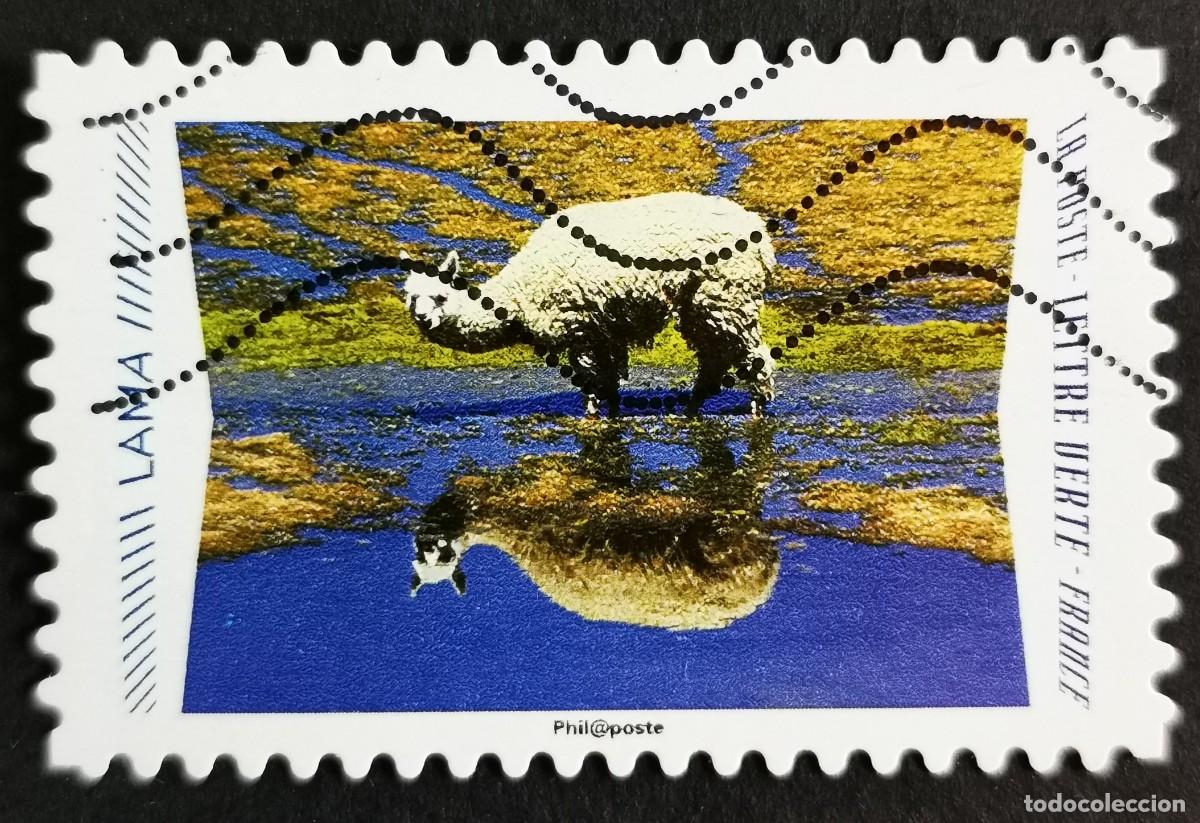 Sellos: Sello Francia 2020, Animales reflejos: Llama (Lama glama, Sin Valor Facial Michel: FR 7536