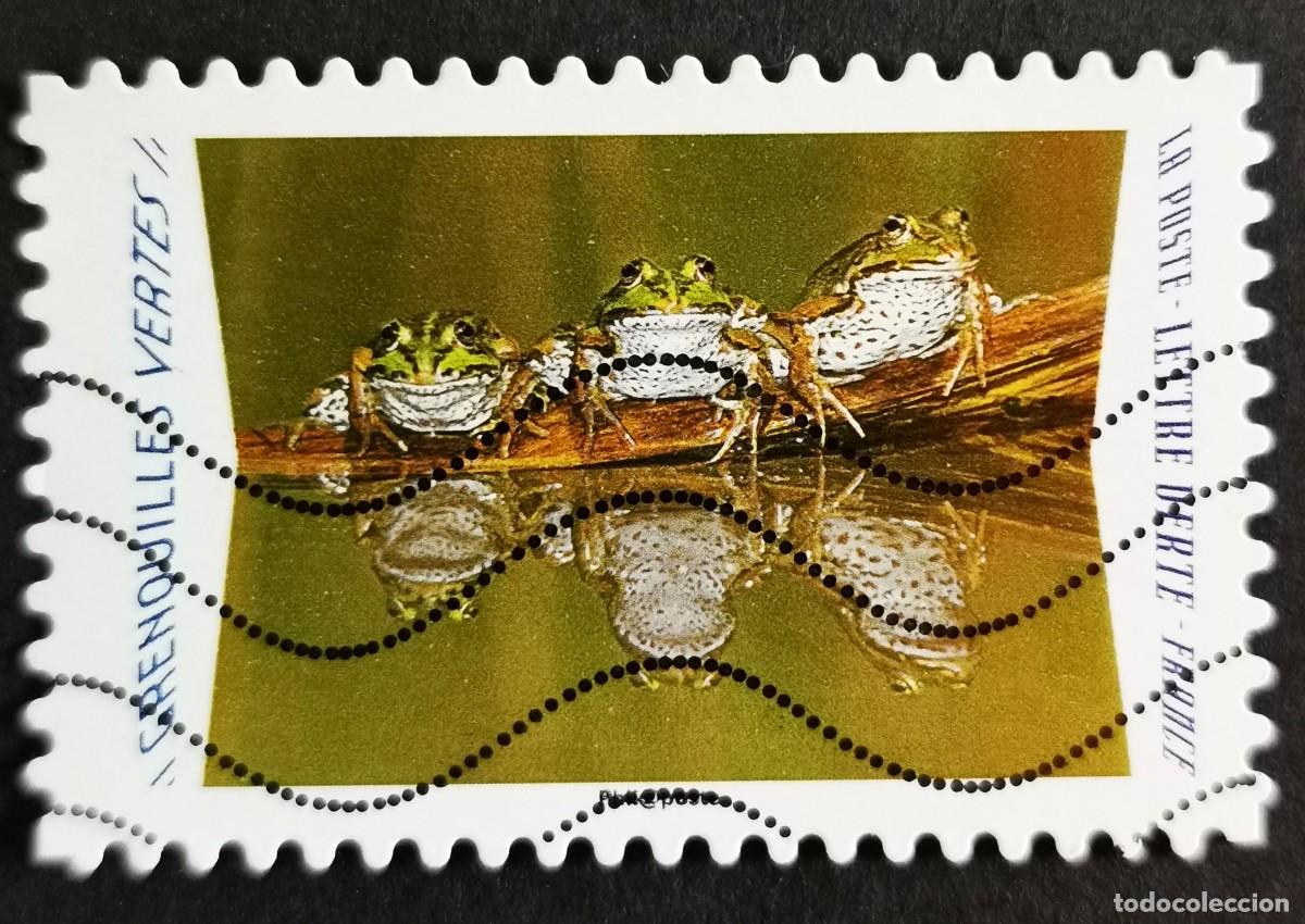 Sellos: Sello Francia 2020, Animales reflejos: Ranas verdes (Pelophylax kl, Sin Valor Facial Michel: FR 7537