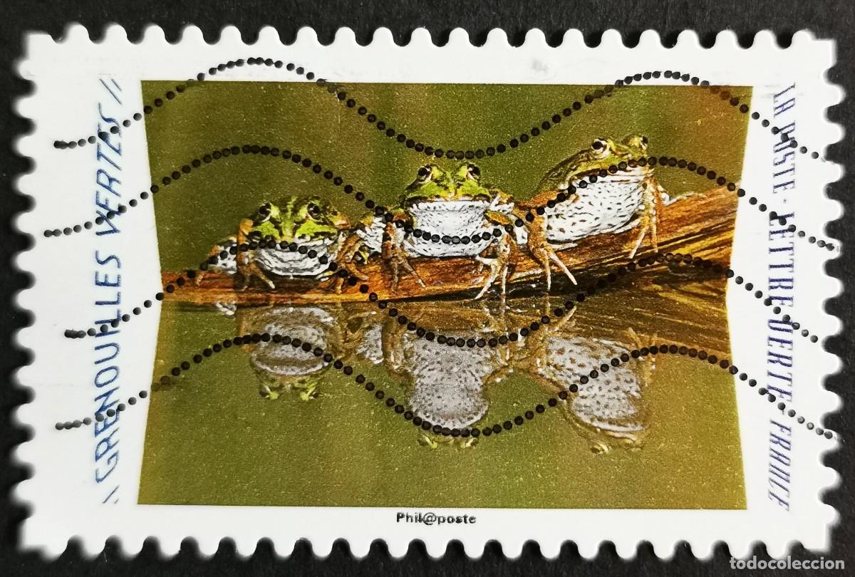Sellos: Sello Francia 2020, Animales reflejos: Ranas verdes (Pelophylax kl, Sin Valor Facial Michel: FR 7537