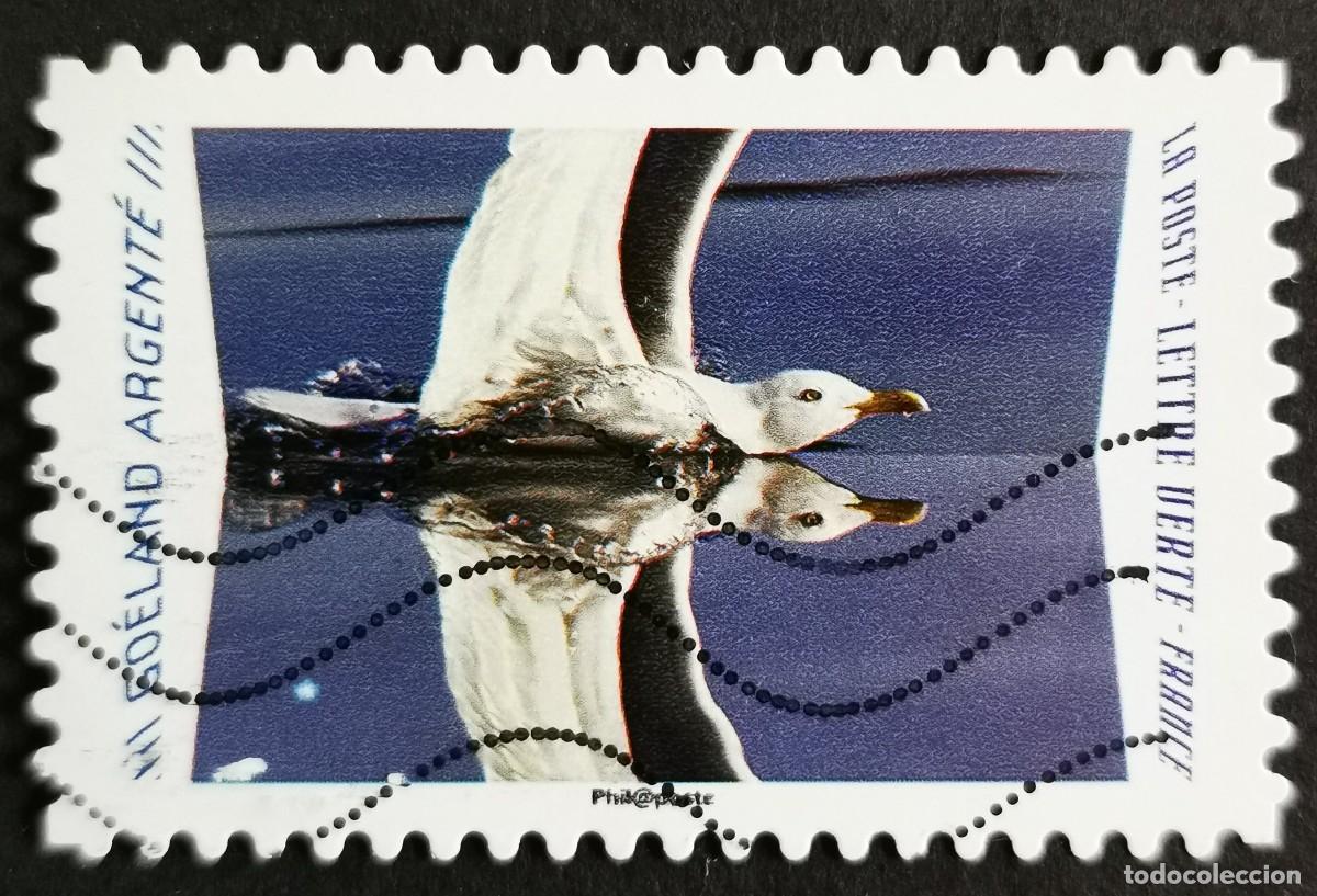 Sellos: Sello Francia 2020, Animales reflejos: Gaviota arg&eacute;ntea europea , Sin Valor Facial Michel: FR 7539