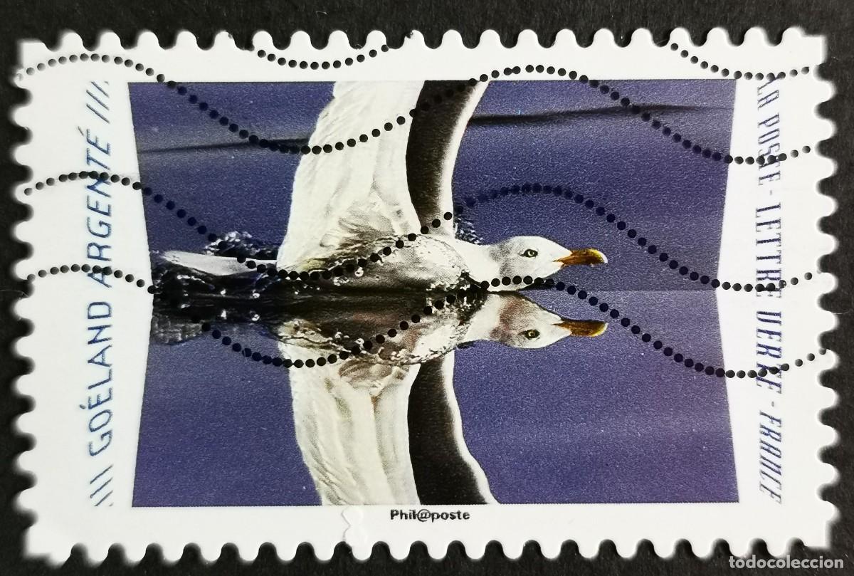 Sellos: Sello Francia 2020, Animales reflejos: Gaviota arg&eacute;ntea europea , Sin Valor Facial Michel: FR 7539