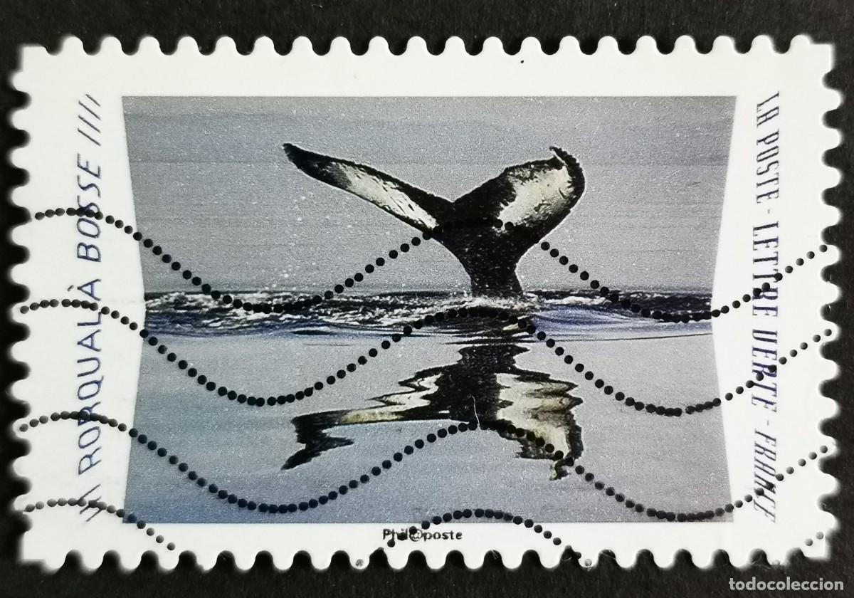 Sellos: Sello Francia 2020, Animales reflejos: Ballena jorobada (Megapte , Sin Valor Facial Michel: FR 7540