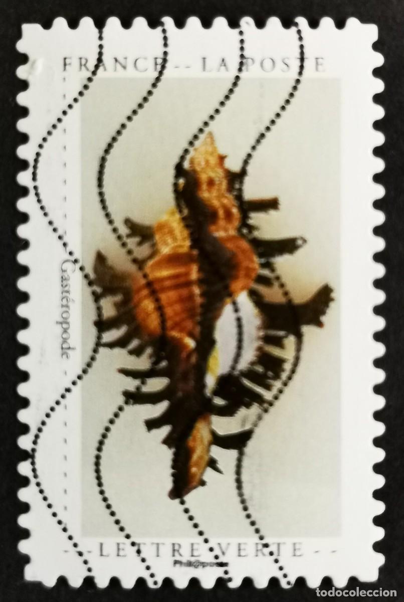 Sellos: Sello Francia 2020, Curiosidades: Concha, Sin Valor Facial Michel: FR 7553
