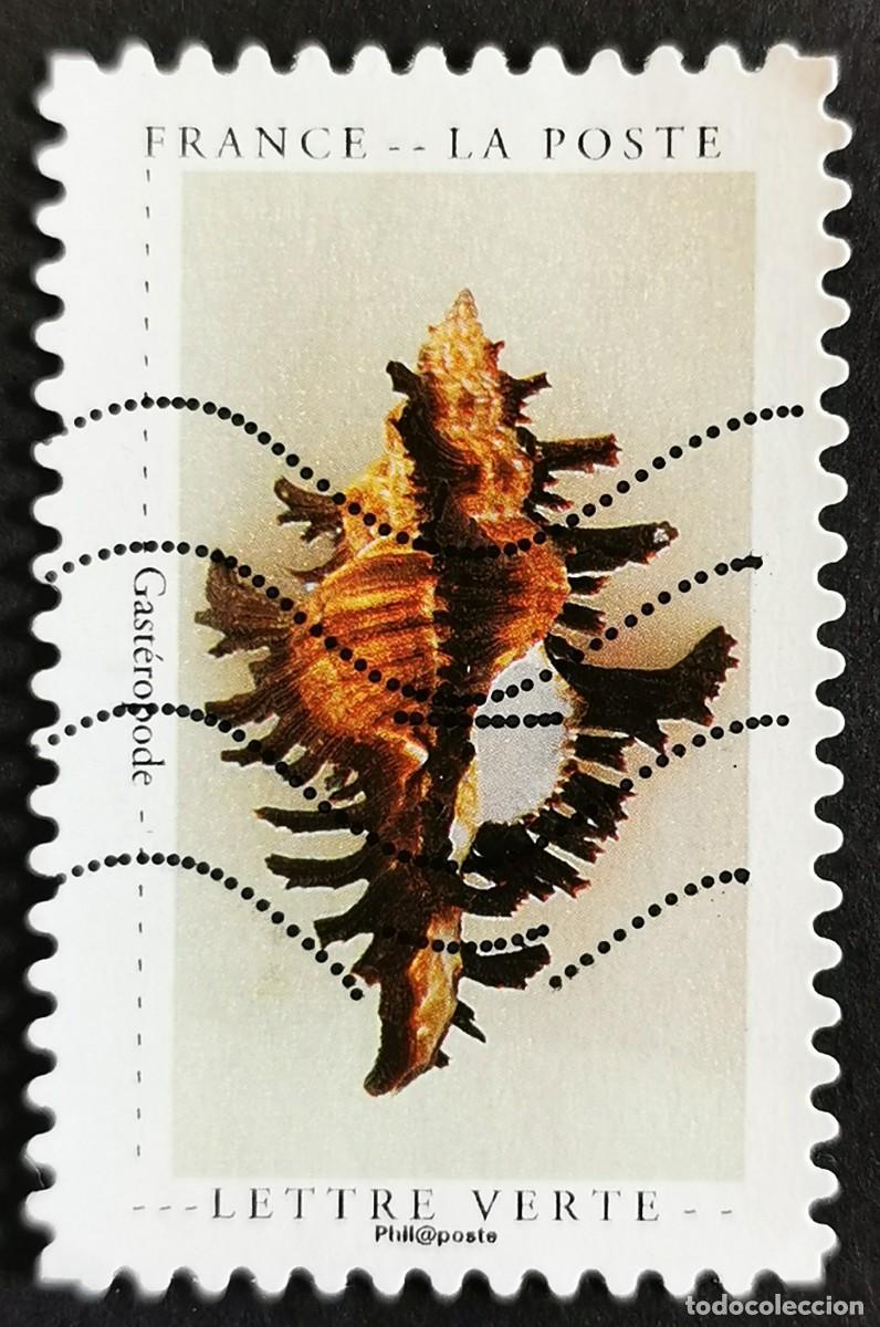 Sellos: Sello Francia 2020, Curiosidades: Concha, Sin Valor Facial Michel: FR 7553