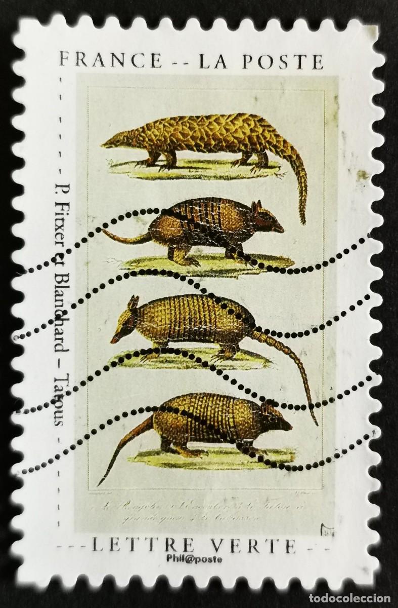 Sellos: Sello Francia 2020, Curiosidades: Armadillos&rdquo; by P Archivo and Bla, Sin Valor Facial Michel: FR 7556