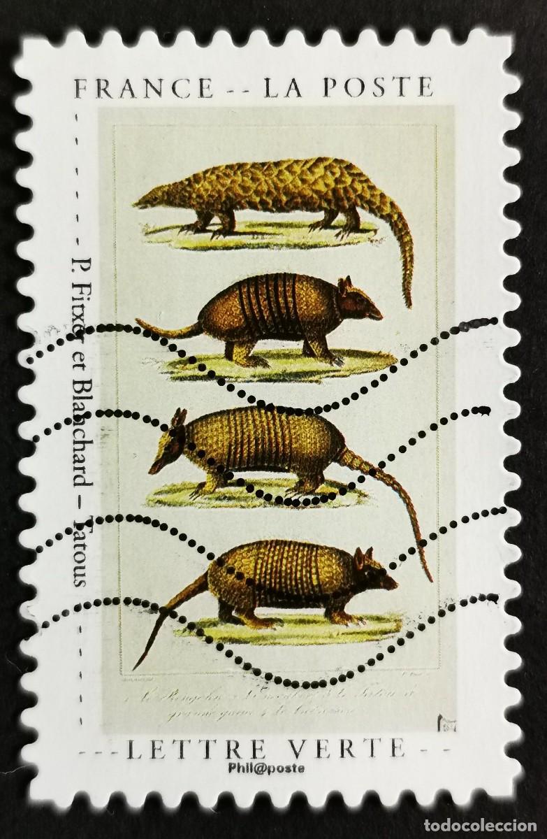 Sellos: Sello Francia 2020, Curiosidades: Armadillos&rdquo; by P Archivo and Bla, Sin Valor Facial Michel: FR 7556