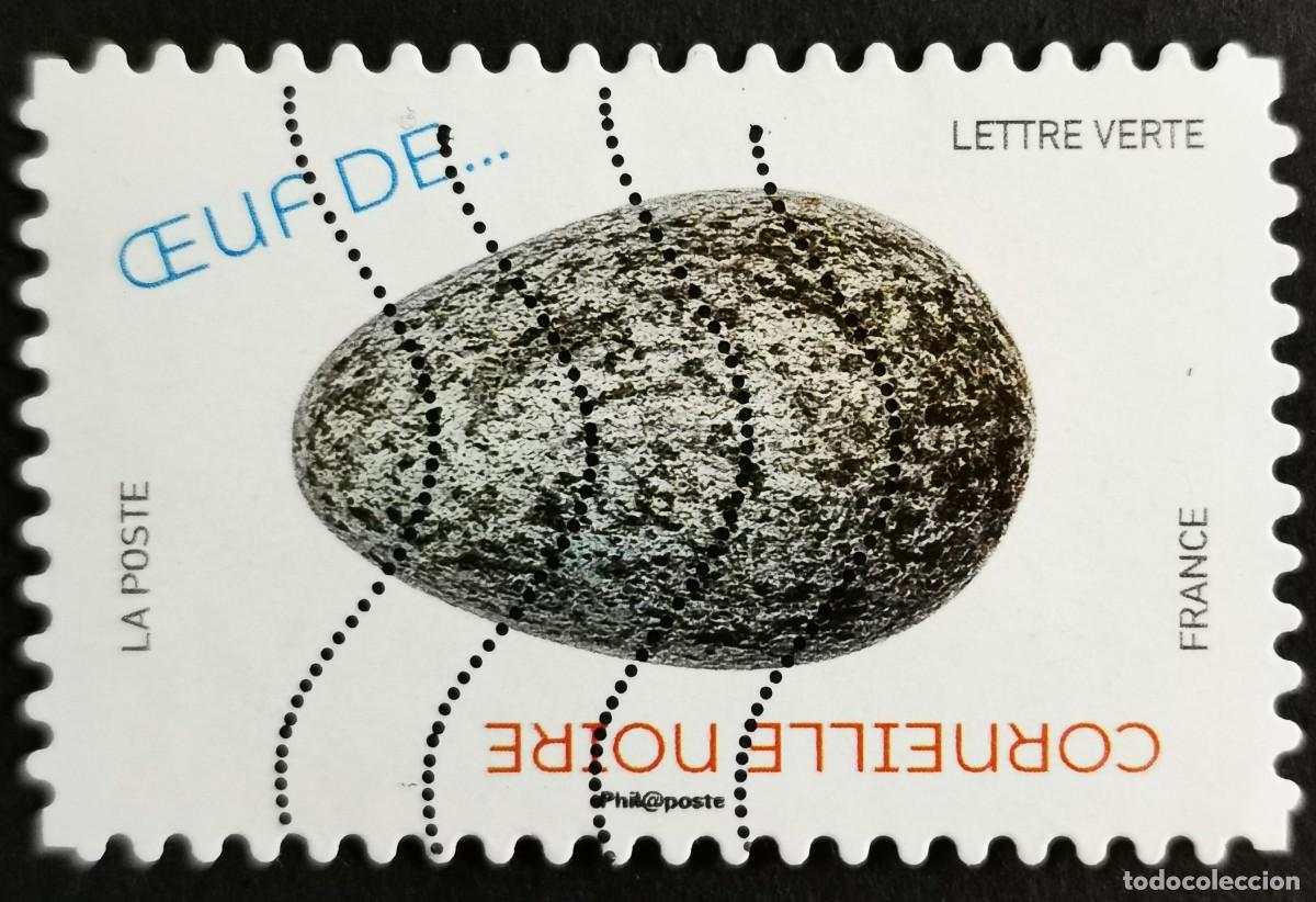 Sellos: Sello Francia 2020, Huevos aves: Huevo de cuervo carro&ntilde;ero (Corvus, Sin Valor Facial Michel: FR 7567