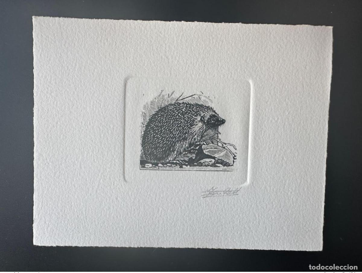 Sellos: B&eacute;lgica 1992 COB 2479 Prueba art&iacute;stica FDC Hedgehog Fauna