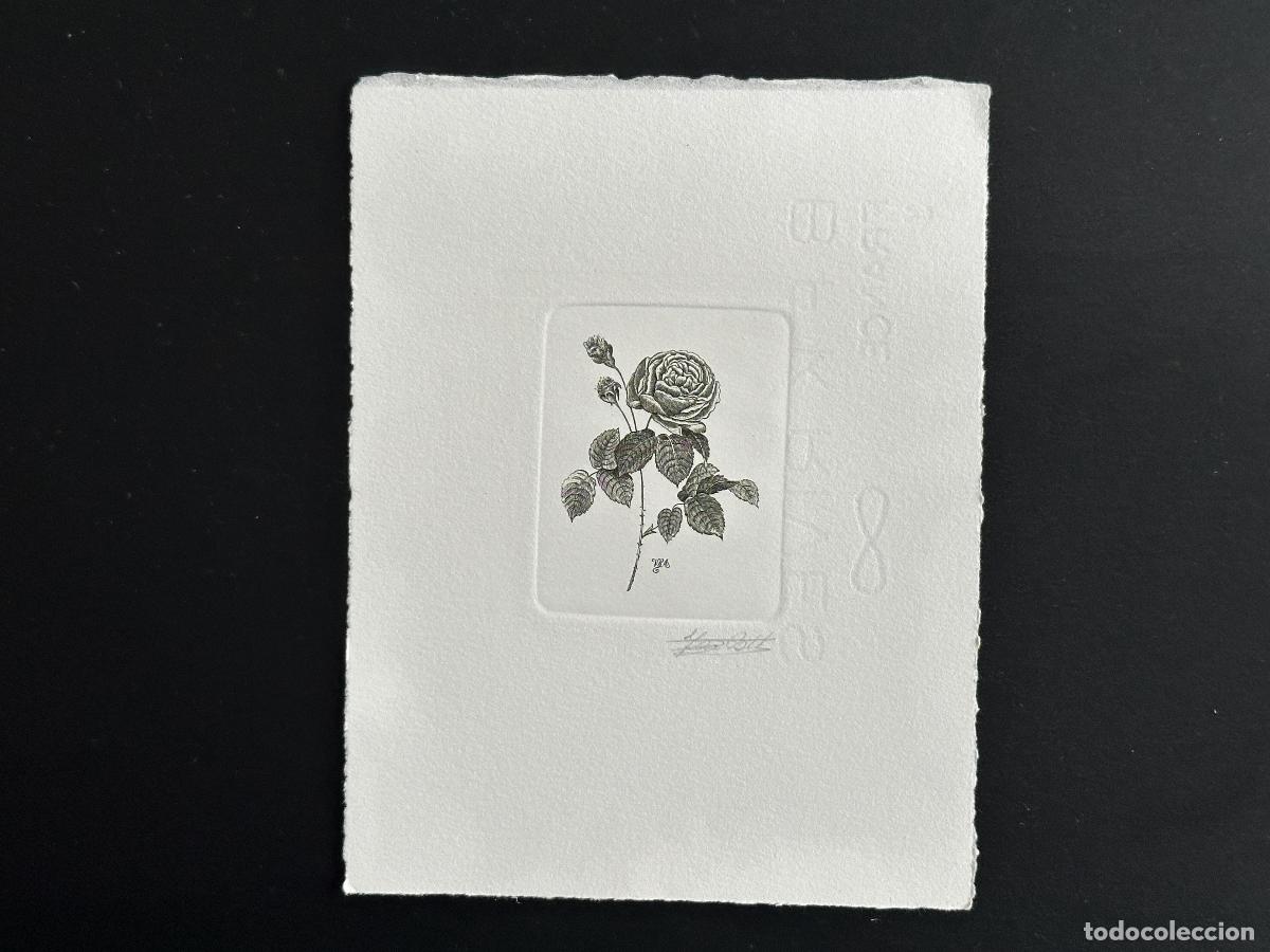 Sellos: B&eacute;lgica 1990 COB 2374 Prueba de artista FDC Fleur Rose Ad&eacute;la&iuml;de Redout&eacute; noir