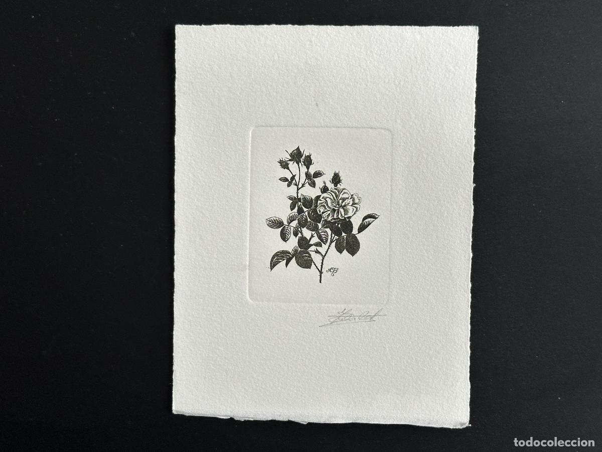 Sellos: B&eacute;lgica 1989 COB 2318 Prueba de artista FDC Fleur Rose Centfeuille Redout&eacute; noir