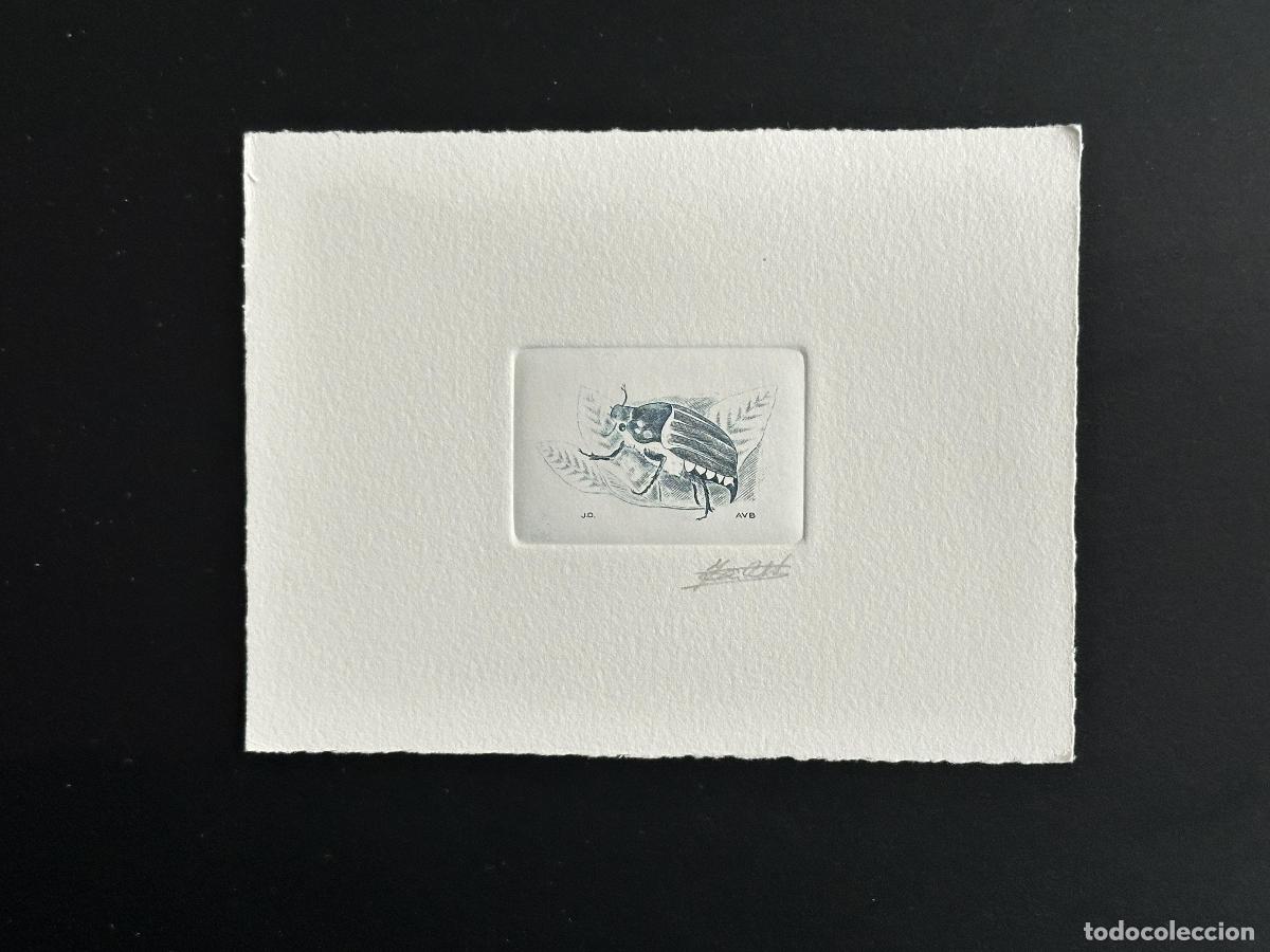 Sellos: B&eacute;lgica 1996 COB 2633 Insecto FDC Blue Chafer Insect