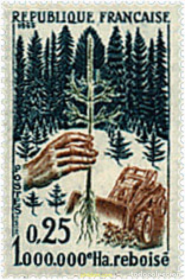 Sellos: 353236 HINGED FRANCIA 1965 CAMPA&Ntilde;A DE REFORESTACION