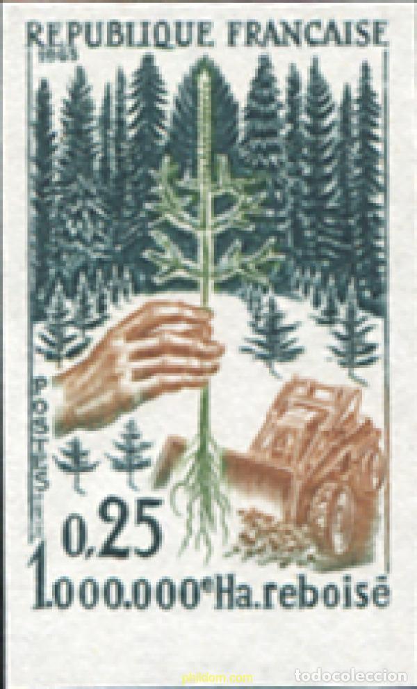 Sellos: 586920 MNH FRANCIA 1965 CAMPA&Ntilde;A DE REFORESTACION