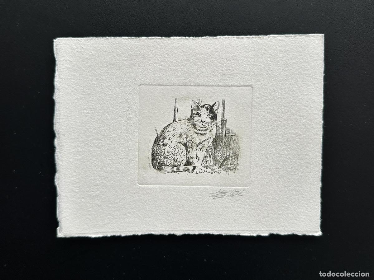 Sellos: Libreta COB 2524 FDC Cat Katze MH a prueba de artistas B&eacute;lgica 1993