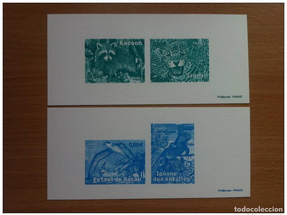 Briefmarken: FRANCIA 2007 -GRABADOS EXT. 4033 A 4036 NATURALEZA EN PELIGRO DE EXTINCI&Oacute;N