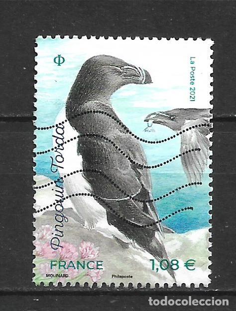 Sellos: francia 2021 sello usado aves pinguino torda - 6/34