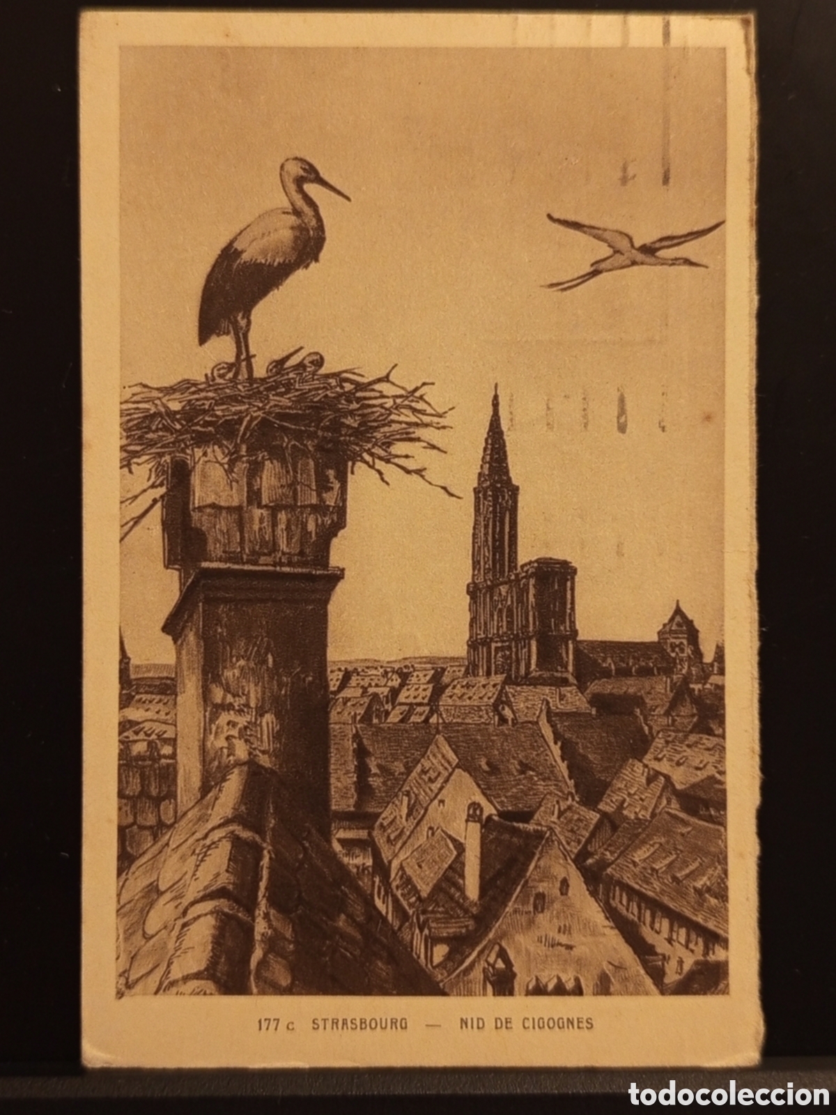 Sellos: &rdquo;Postal Strasbourg 1938 - Nid de Cigognes - Catedral - Circulada Semeuse&rdquo;