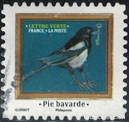 Sellos: Francia 2025 Oblit&eacute;r&eacute; Used M&eacute;lodies d'Oiseaux Pie bavarde Y&T FR 2532 SU