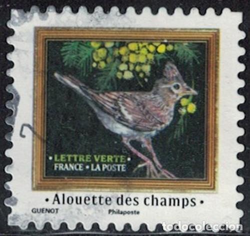 Sellos: Francia 2025 Oblit&eacute;r&eacute; Used M&eacute;lodies d'Oiseaux Alouette des Champs Y&T FR 2537 SU