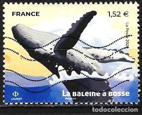 Sellos: Francia 2026 - Mi 9365 - YT xxx - Fauna marina : Ballena jorobada