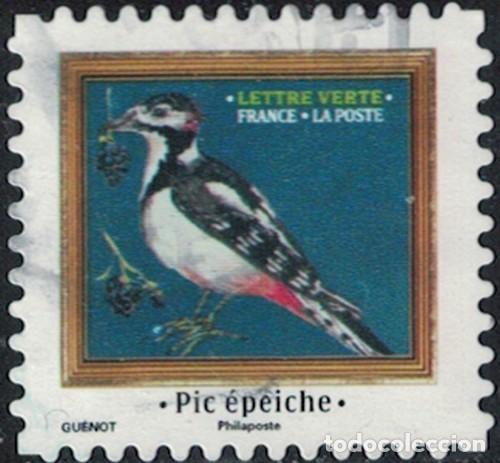 Sellos: Francia 2025 Oblit&eacute;r&eacute; Used M&eacute;lodies d'Oiseaux Pic &eacute;peiche Y&T FR 2541 SU