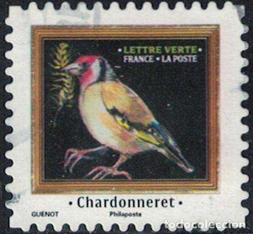 Sellos: Francia 2025 Oblit&eacute;r&eacute; Used M&eacute;lodies d'Oiseaux Chardonneret Y&T FR 2540 SU