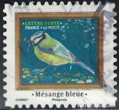 Sellos: France 2025 Oblit&eacute;r&eacute; Used M&eacute;lodies d'Oiseaux M&eacute;sange bleue Y&T FR 2535 SU