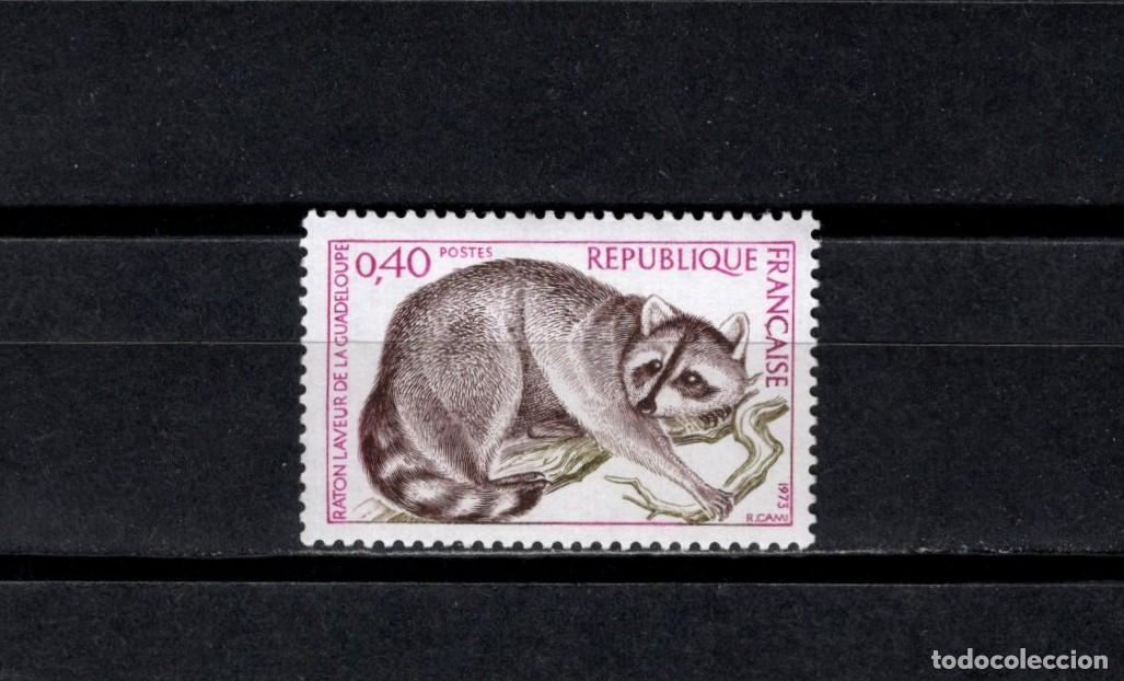 Sellos: Sello nuevo. Mapache de Guadalupe. Junio de 1973. Yvert 1754
