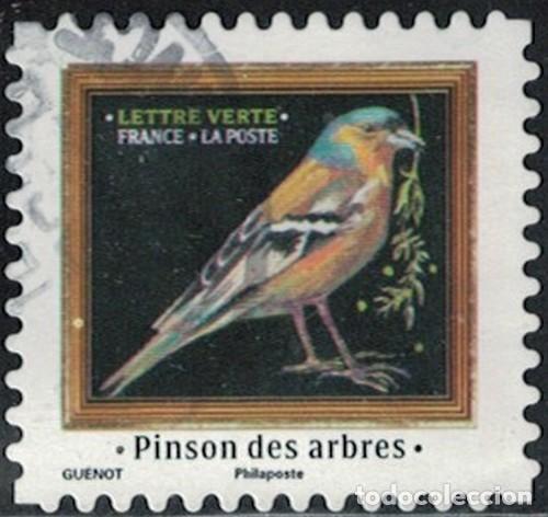 Sellos: Francia 2025 Oblit&eacute;r&eacute; Used M&eacute;lodies d'Oiseaux Pinson des arbres Y&T FR 2534 SU