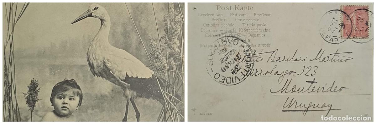 Sellos: O) 1904 FRANCE, SOWER 10c NO GROUND, WHITE STORK, POSTAL CARD CIRCULATED TO MONTEVIDEO