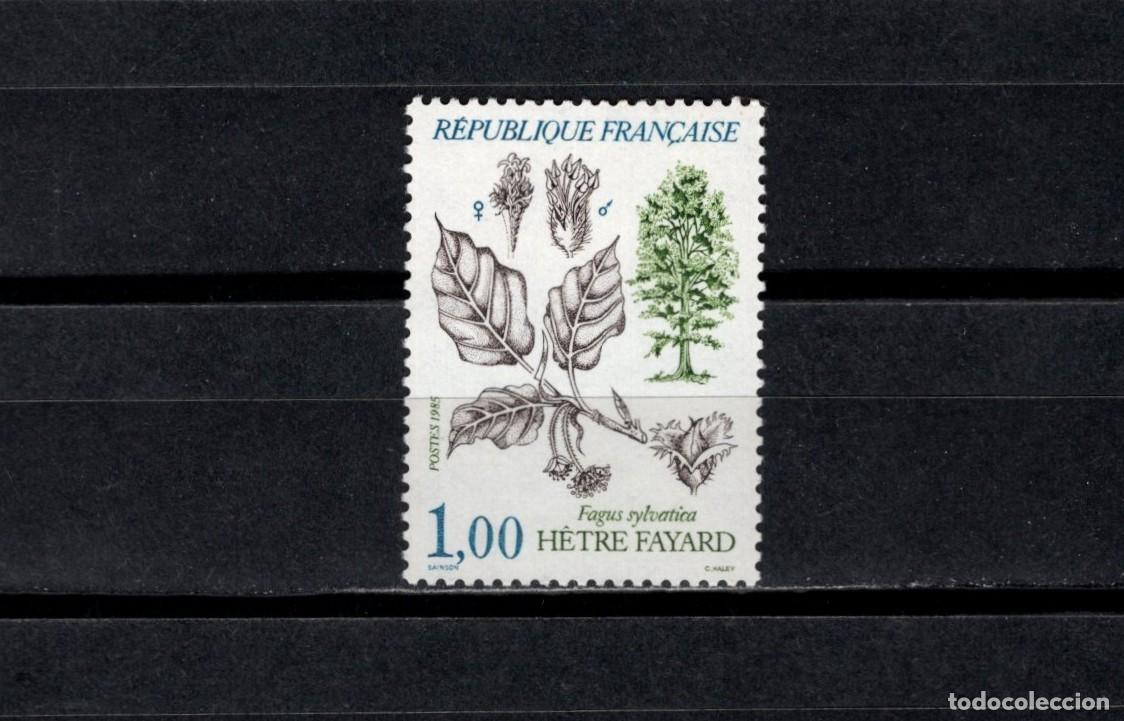 Sellos: Sello nuevo. Arboles. Haya comun. Sello de 1 franco. Octubre 1985. Yvert 2384.