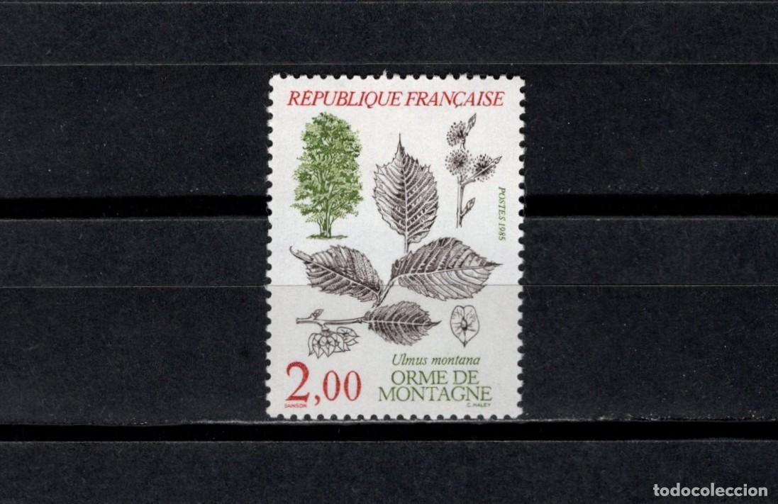 Sellos: Sello nuevo. Arboles. Olmo de monta&ntilde;a. Sello de 2 francos. Septiembre 1985. Yvert 2385.